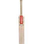 Gray Nicolls Gold English Willow Bat