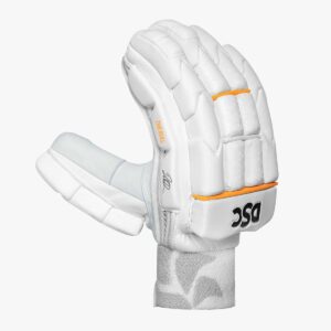 DSC Warner Batting Gloves